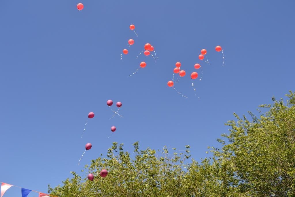 Последний звонок 20018